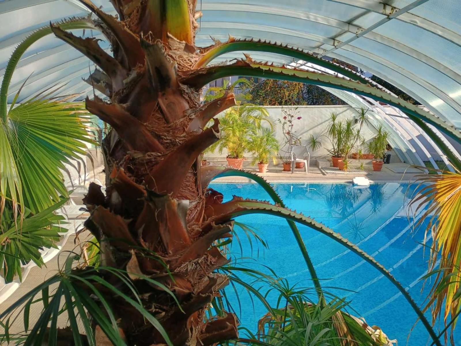 Enis Hotel С Минерален Басейн Sapareva Banja Exteriör bild